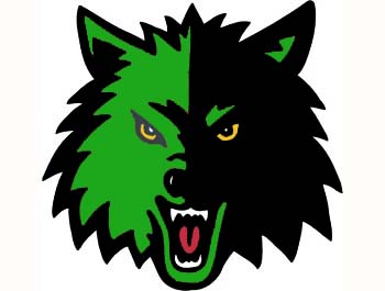 Image result for loomis wolves